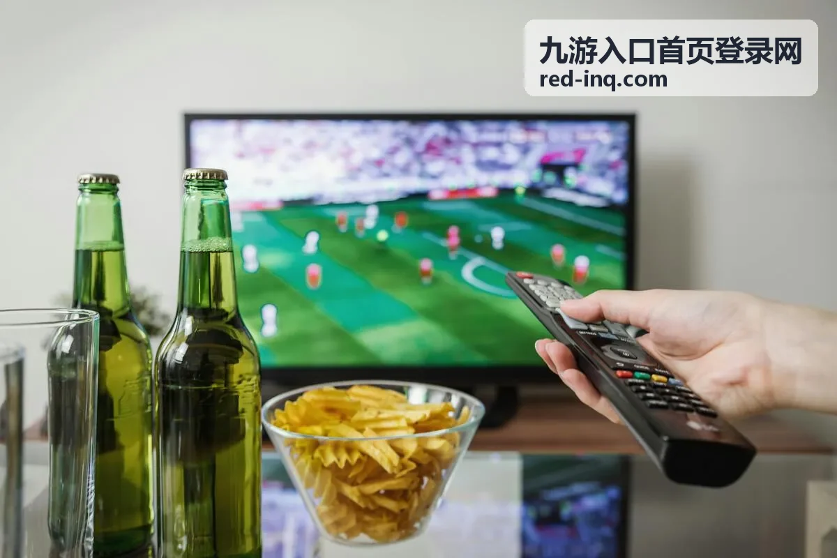 九游入口首页登录网 账号找回操作场景