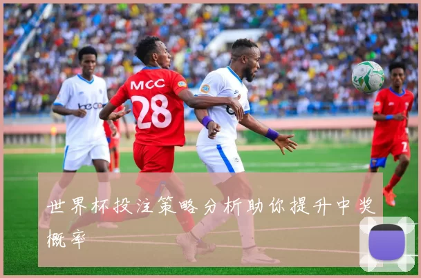世界杯投注策略分析助你提升中奖概率