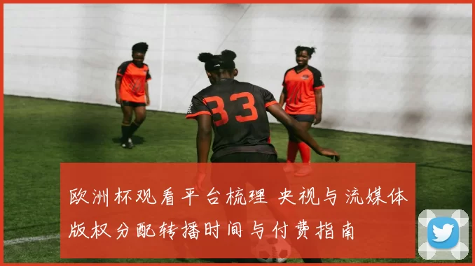 欧洲杯观看平台梳理 央视与流媒体版权分配转播时间与付费指南