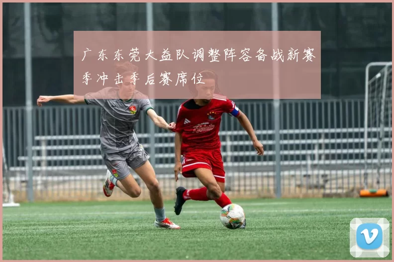 广东东莞大益队调整阵容备战新赛季冲击季后赛席位